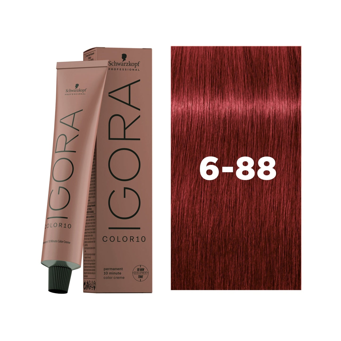 IGORA COLOR10 6-88 Dark Blonde Red Extra