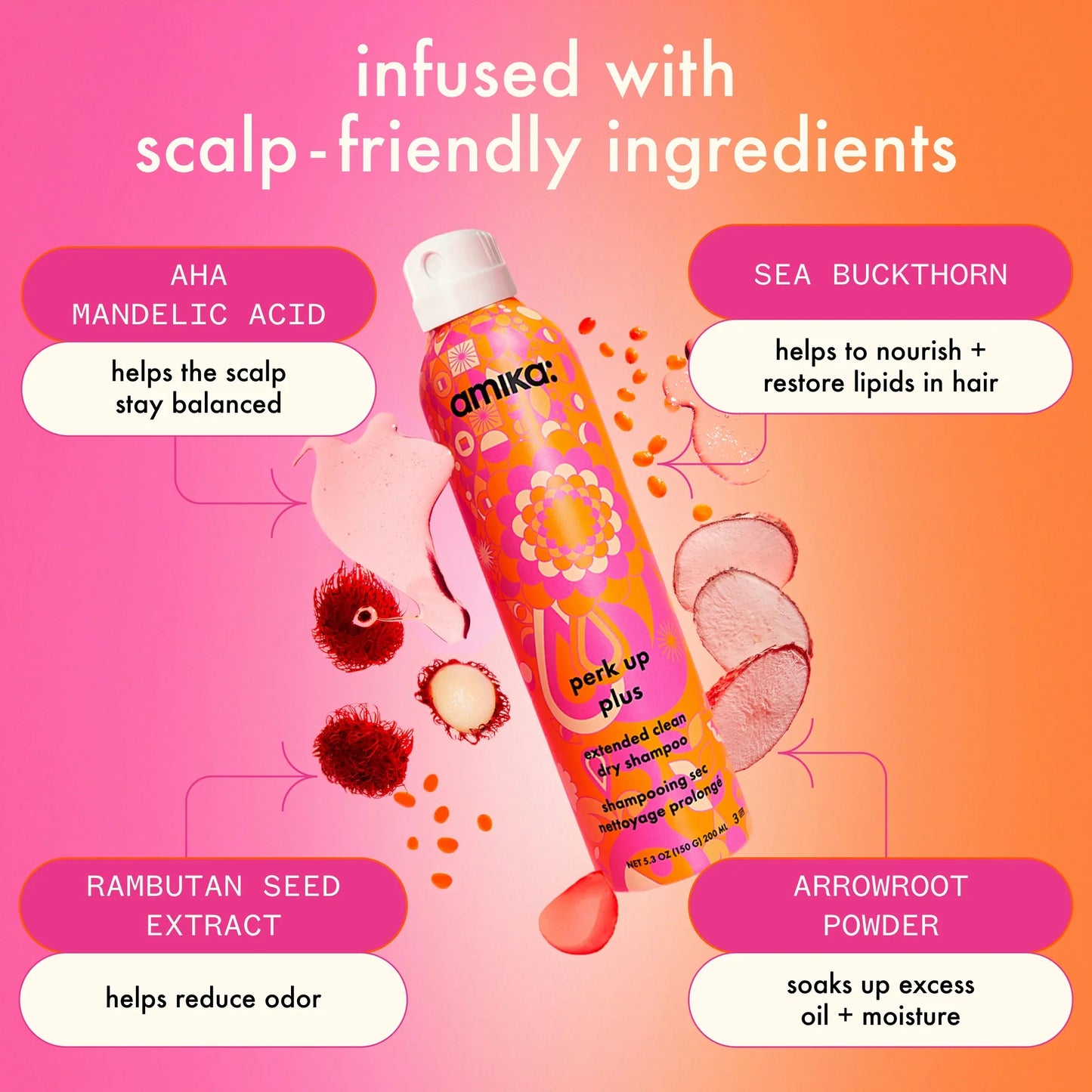 AMIKA Perk Up Plus Extended Dry Shampoo key ingredients