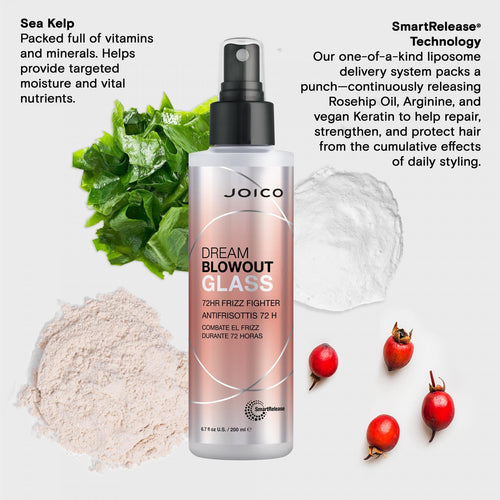 Load image 1 in gallery view. JOICO Dream Blowout Glass 72HR Frizz Fighter