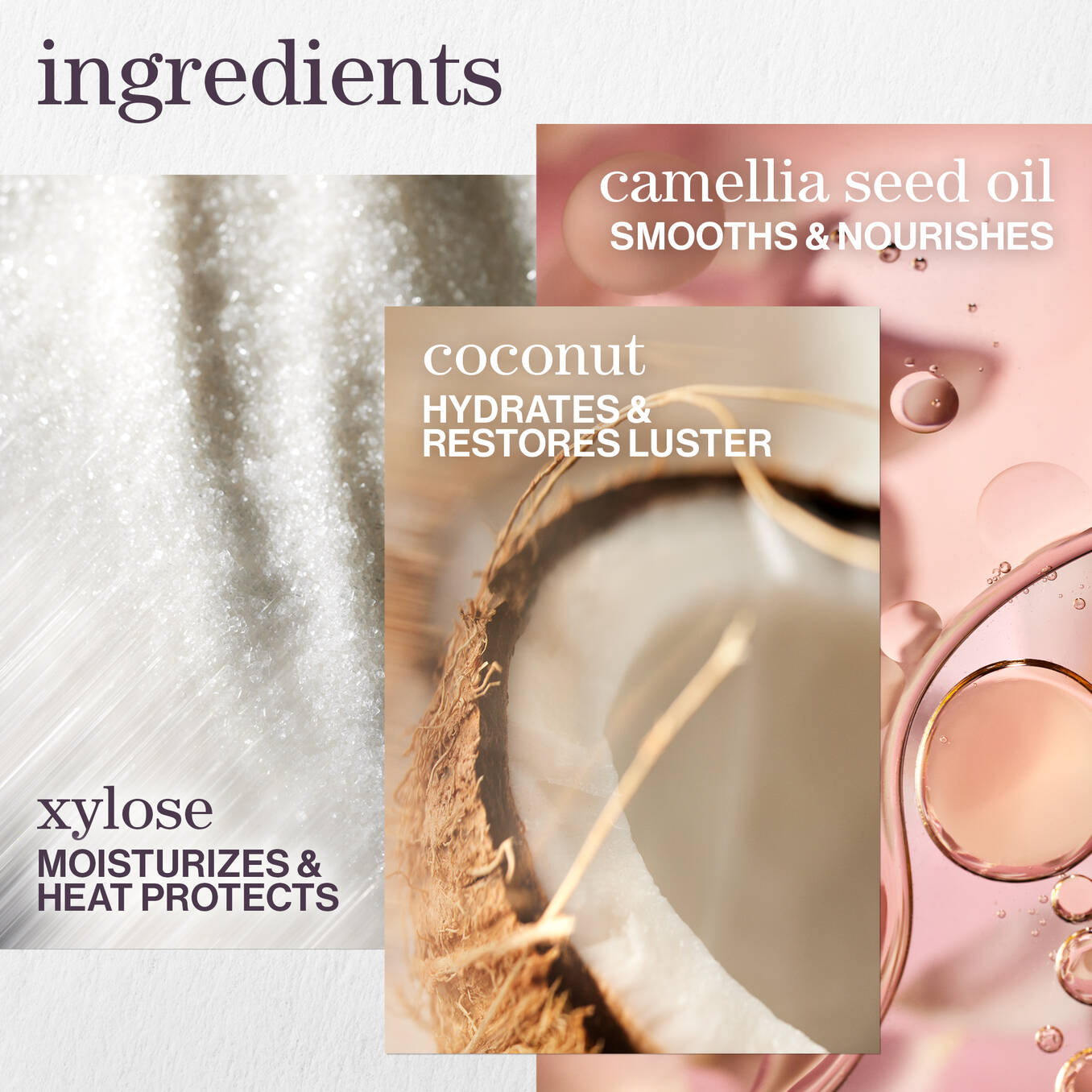 PUREOLOGY Color Fanatic Multi-Tasking Leave-in Spray key ingredients