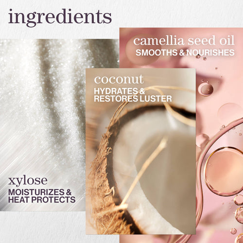 Load image 1 in gallery view. PUREOLOGY Color Fanatic Multi-Tasking Leave-in Spray key ingredients