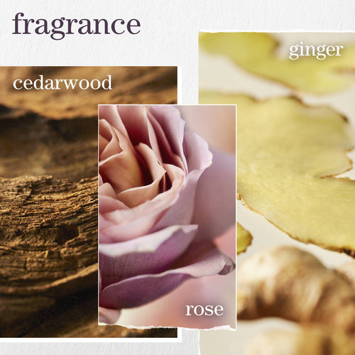 Load image 1 in gallery view. PUREOLOGY Color Fanatic Multi-Tasking Leave-in Spray scent