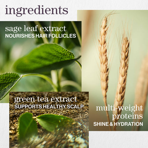 Load image 1 in gallery view. PUREOLOGY Hydrate Conditioner key ingredients