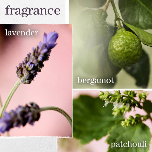 Load image 1 in gallery view. PUREOLOGY Hydrate Shampoo scent